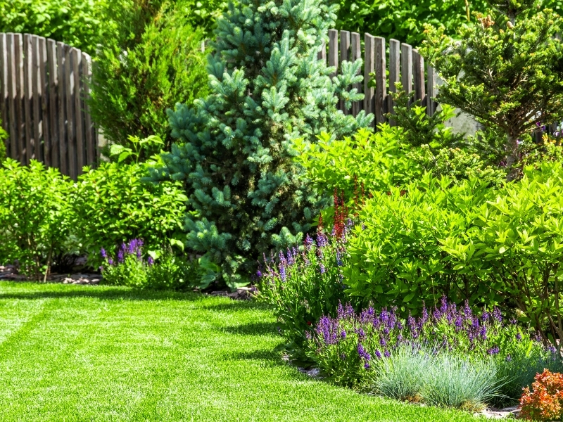 Dlaczego warto zlecić projektowanie swojego ogrodu specjaliście? Największe korzyści