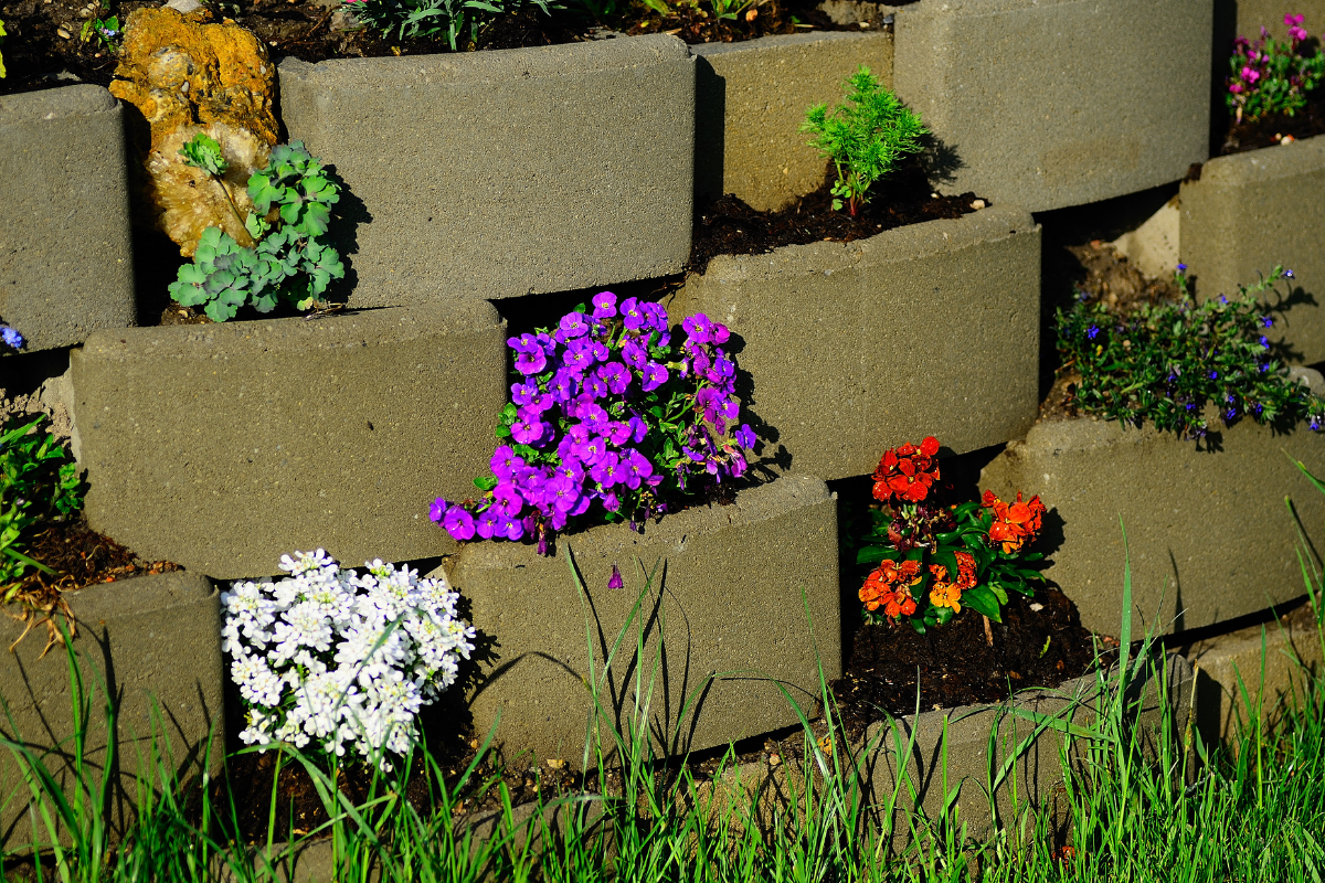 Ozdobne kamienie w ogrodzie – sposób na udaną aranżację ogrodu